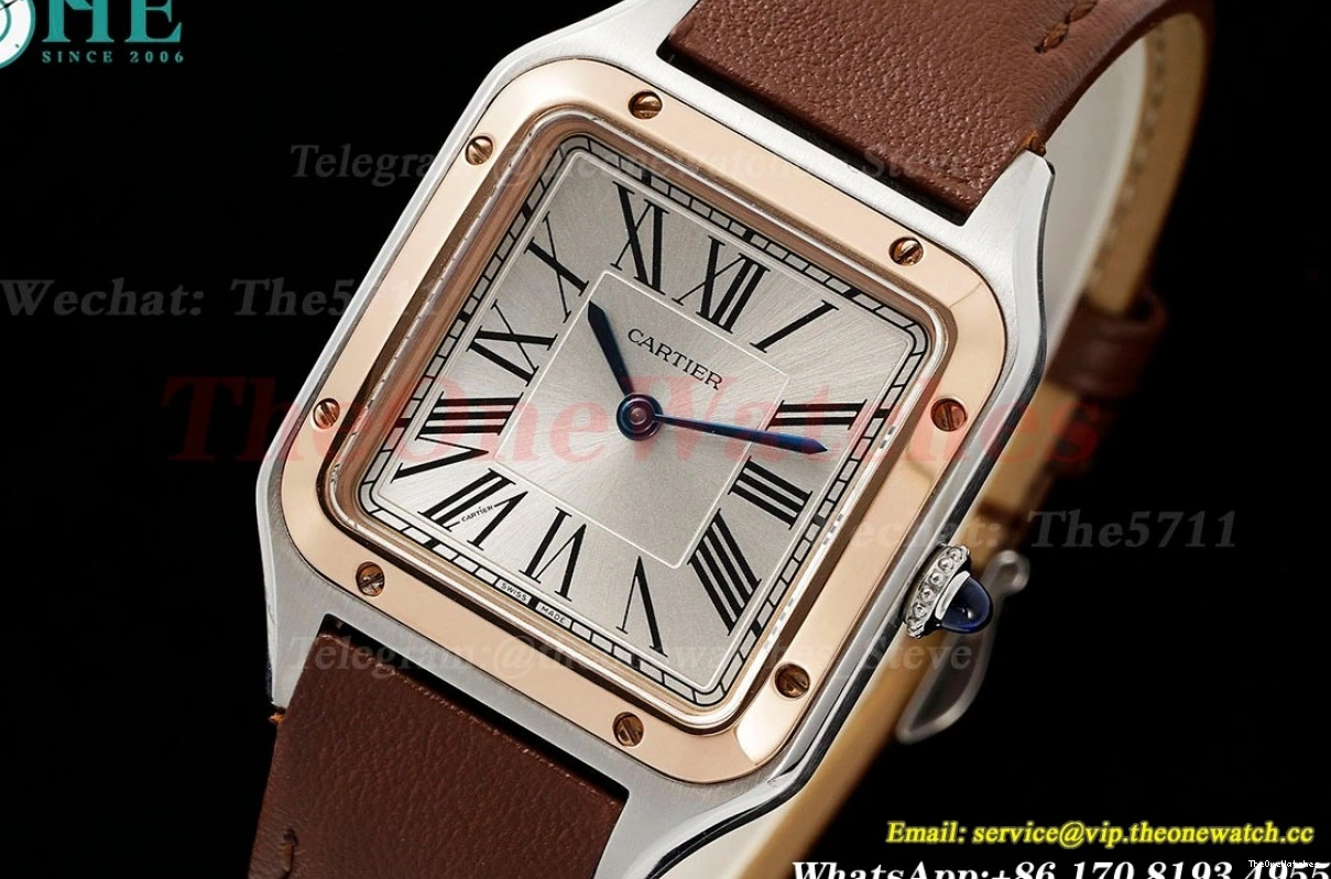 LE AF Dumont RG Silver Dial Brown Santos Quartz 1203